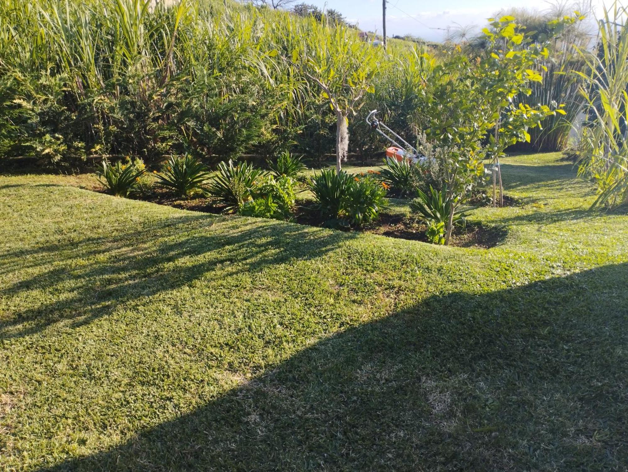 Levada Nova House Villa Ponta do Sol  Ngoại thất bức ảnh