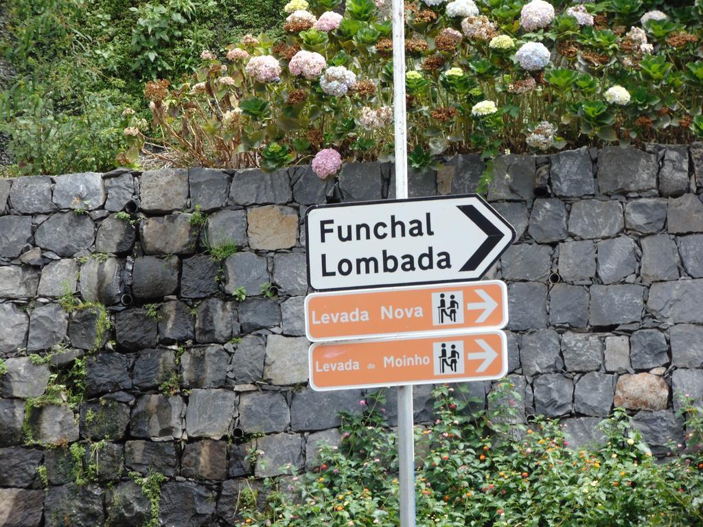 Levada Nova House Villa Ponta do Sol  Ngoại thất bức ảnh